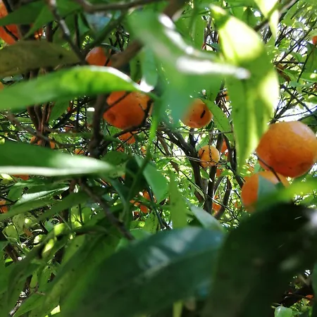 Lumie Di Sicilia-3